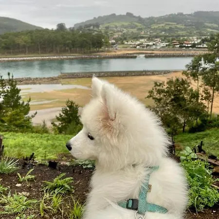 빌라 La Demaria Playa Puntal Asturias *