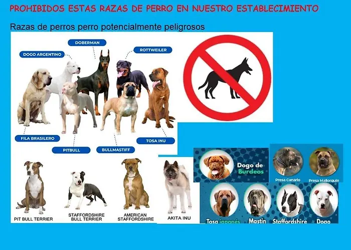 La Demaria Playa Puntal Asturias Villa Villaviciosa (Asturias)