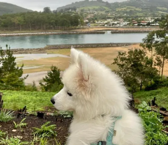 Villa La Demaria Playa Puntal Asturias *